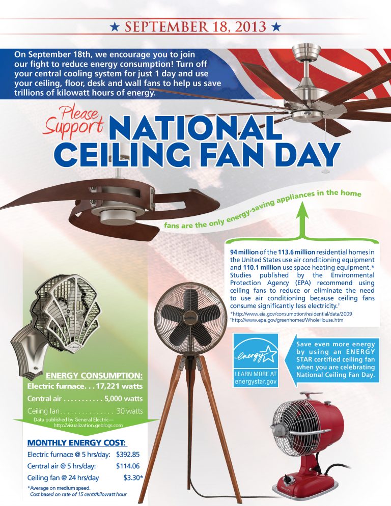 National Ceiling Fan Day! Fanimation Closeout Store